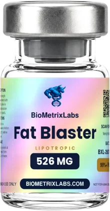 Fat Blaster