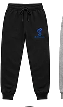 BiometrixLabs Joggers — Black